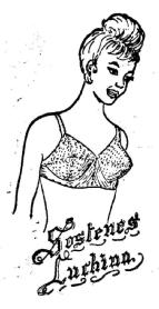 Imagen de SOSTENES LUCHINA