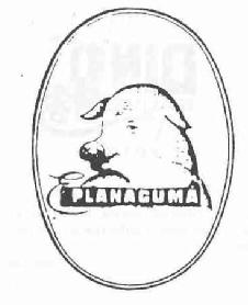 Imagen de PLANAGUMA
