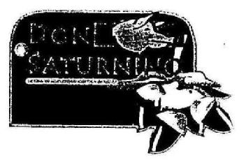 Imagen de DON SATURNINO