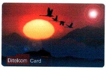 Imagen de DITELCOM CARD