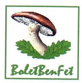 Imagen de BOLET BEN FET