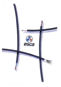 Imagen de ESCA
