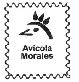 Imagen de AVICOLA MORALES