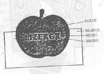 Imagen de LIZEAGA