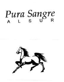 Imagen de PURA SANGRE ALSUR