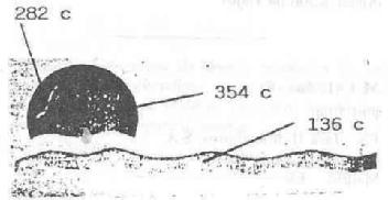 Imagen de M1812657(X)