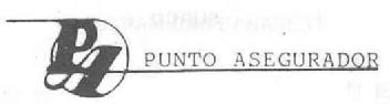 Imagen de PA PUNTO ASEGURADOR