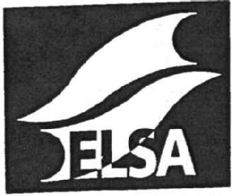 Imagen de DELSA