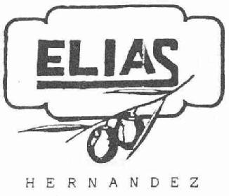 Imagen de ELIAS HERNANDEZ