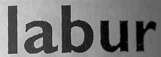 Imagen de LABUR