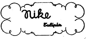Imagen de NIKE TULIPAN ANOTACIÓN DE DEMANDA