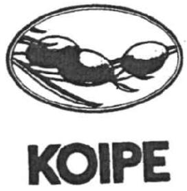 Imagen de KOIPE