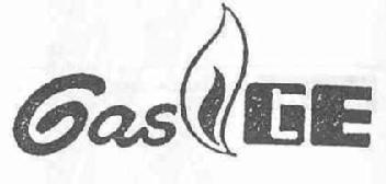 Imagen de GAS GE