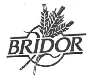 Imagen de BRIDOR