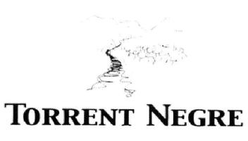 Imagen de TORRENT NEGRE
