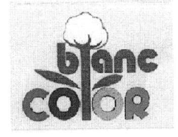 Imagen de BLANC COLOR