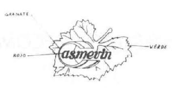 Imagen de CASMEVIN