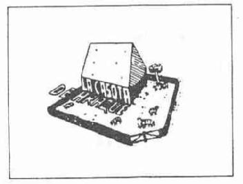 Imagen de LA CASOTA DE ARAQUE