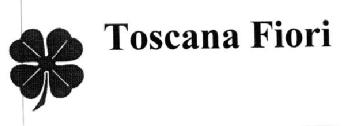 Imagen de TOSCANA FIORI