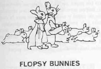 Imagen de FLOPSY BUNNIES