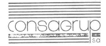 Imagen de CONSAGRUP S.A