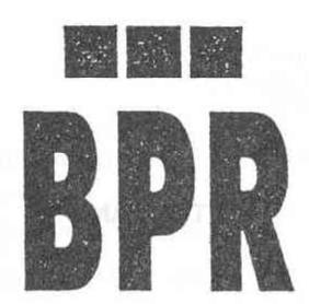 Imagen de BPR