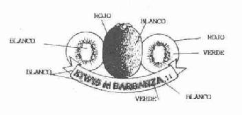 Imagen de KIWIS DEL BARBANZA, S.A