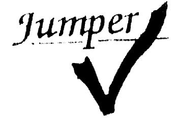 Imagen de JUMPER