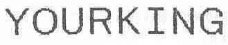 Imagen de YOURKING