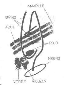 Imagen de M1703687