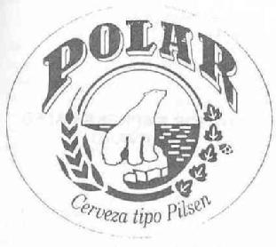 Imagen de POLAR CERVEZA TIPO PILSEN