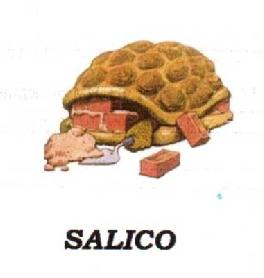 Imagen de SALICO