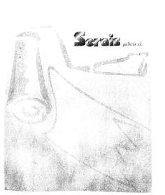 Imagen de SERAIS GALICIA S.L