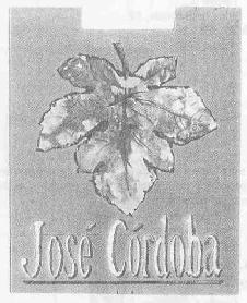 Imagen de JOSE CORDOBA