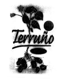 Imagen de TERRUÑO