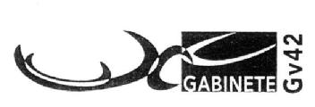 Imagen de GABINETE GV42