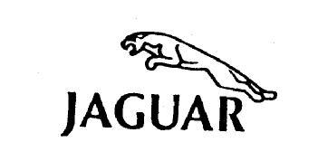 Imagen de JAGUAR
