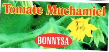 Imagen de TOMATE MUCHAMIEL BONNYSA