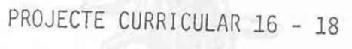 Imagen de PROJECTE CURRICULAR 16 - 18