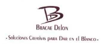 Imagen de BD BRACAE DELON -SOLUCIONES CREATIVAS PARA DAR EN EL BLANCO-