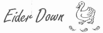 Imagen de EIDER DOWN