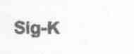 Imagen de SIG-K