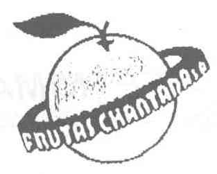 Imagen de FRUTAS CHANTADA, S.A