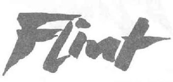 Imagen de FLINT