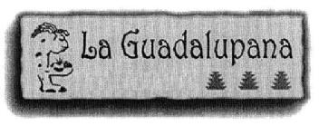 Imagen de LA GUADALUPANA