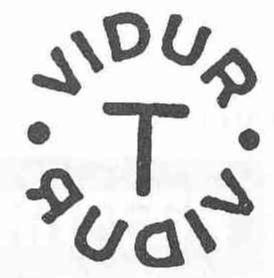 Imagen de T VIDUR