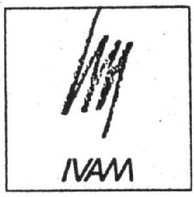 Imagen de IVAM