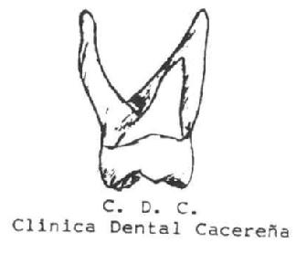 Imagen de C.D.C. CLINICA DENTAL CACEREÑA