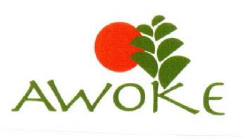 Imagen de AWOKE