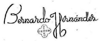 Imagen de BERNARDO HERNANDEZ BEHER